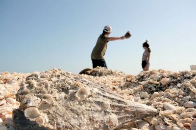 Sanibel Island
