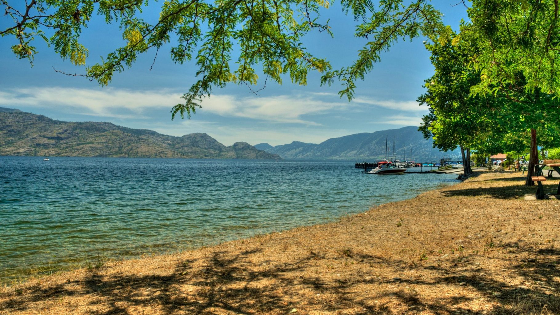 Man kan campere helt ned til Okanagan Lake.