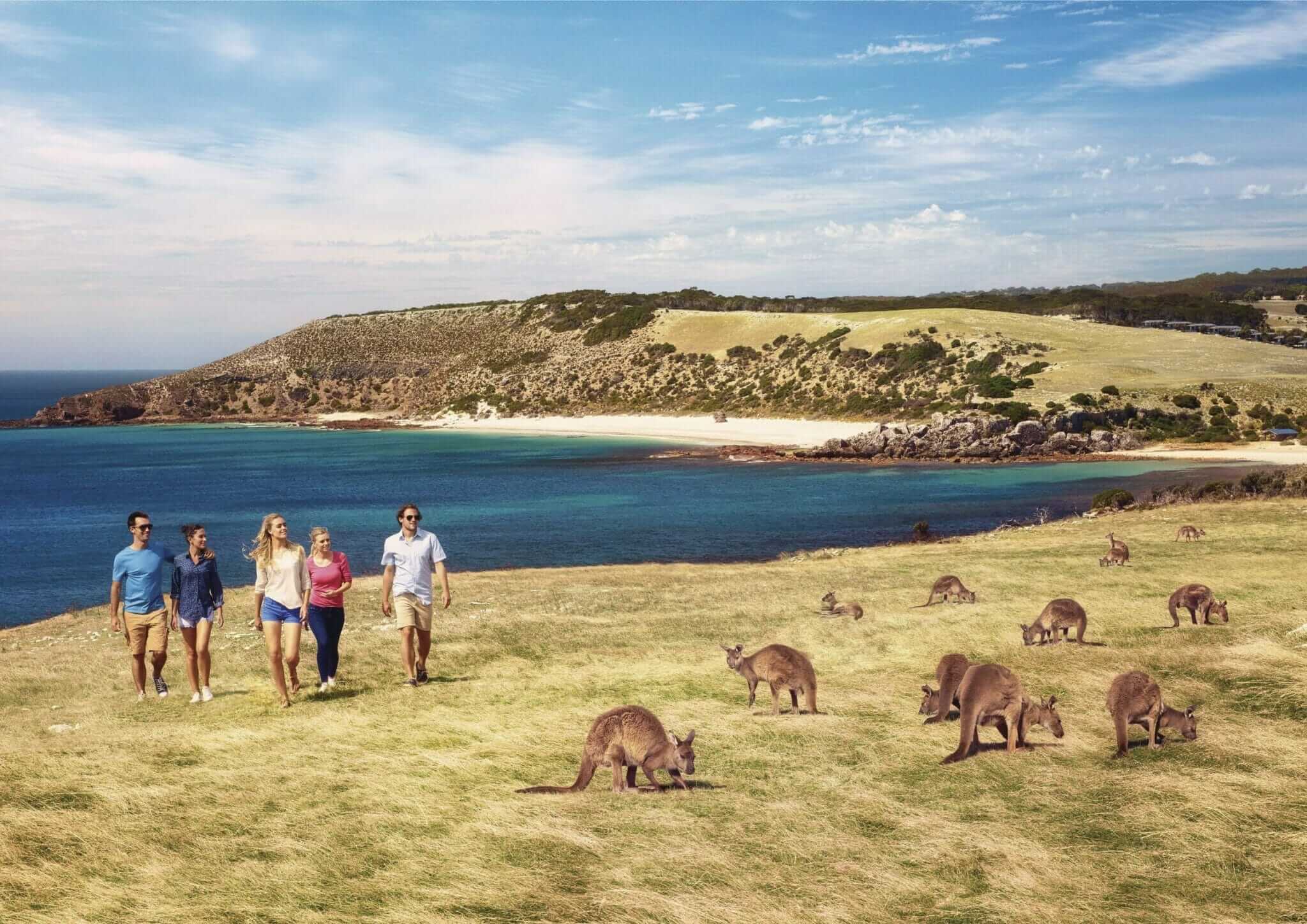 Autocamper Adelaide - Lej her og oplev det bedste af South Australia