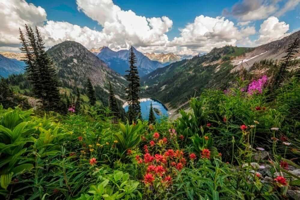 North Cascades National Park