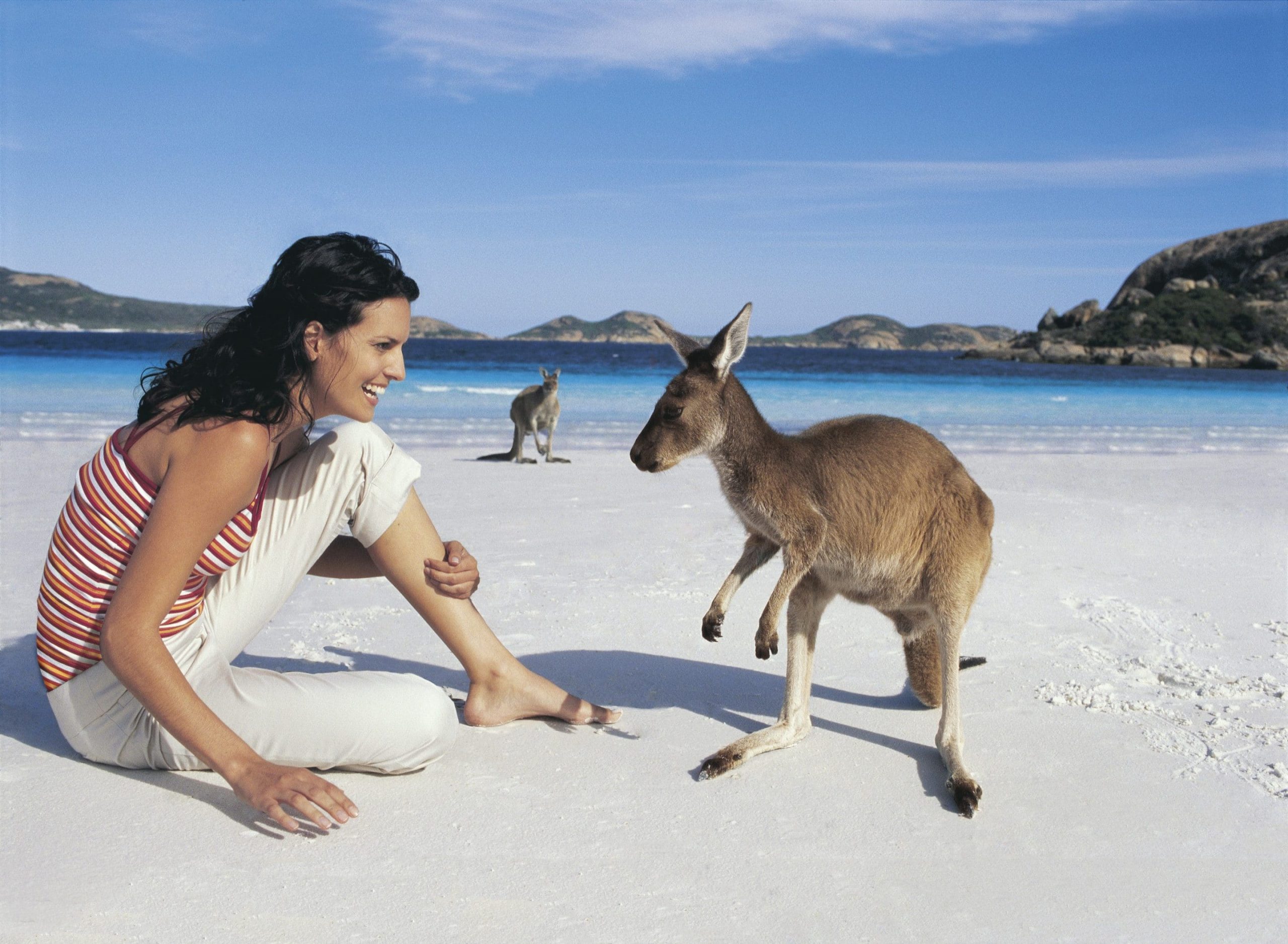 1 группа туристов из австралии. Остров кенгуру (залив сент-Винсент). Остров кенгуру в Австралии. Девушка и кенгуру. Австралия туризм.