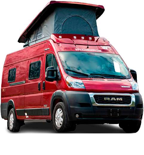 Road Bear Class B