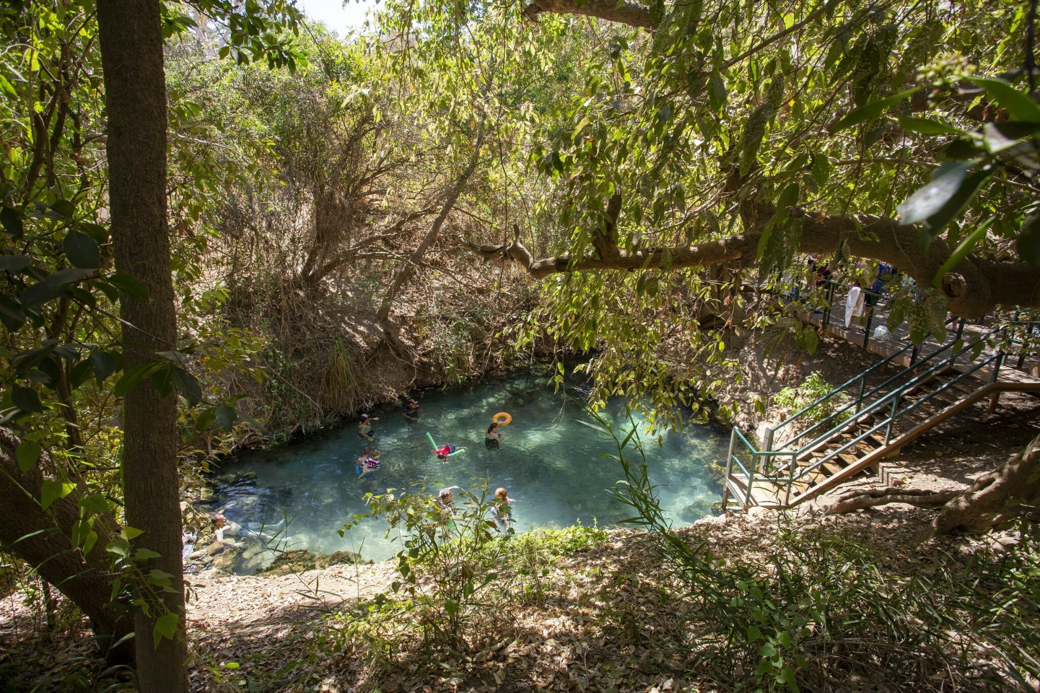 Svømmetur i Katherine Gorge. Foto: Tourism Australia