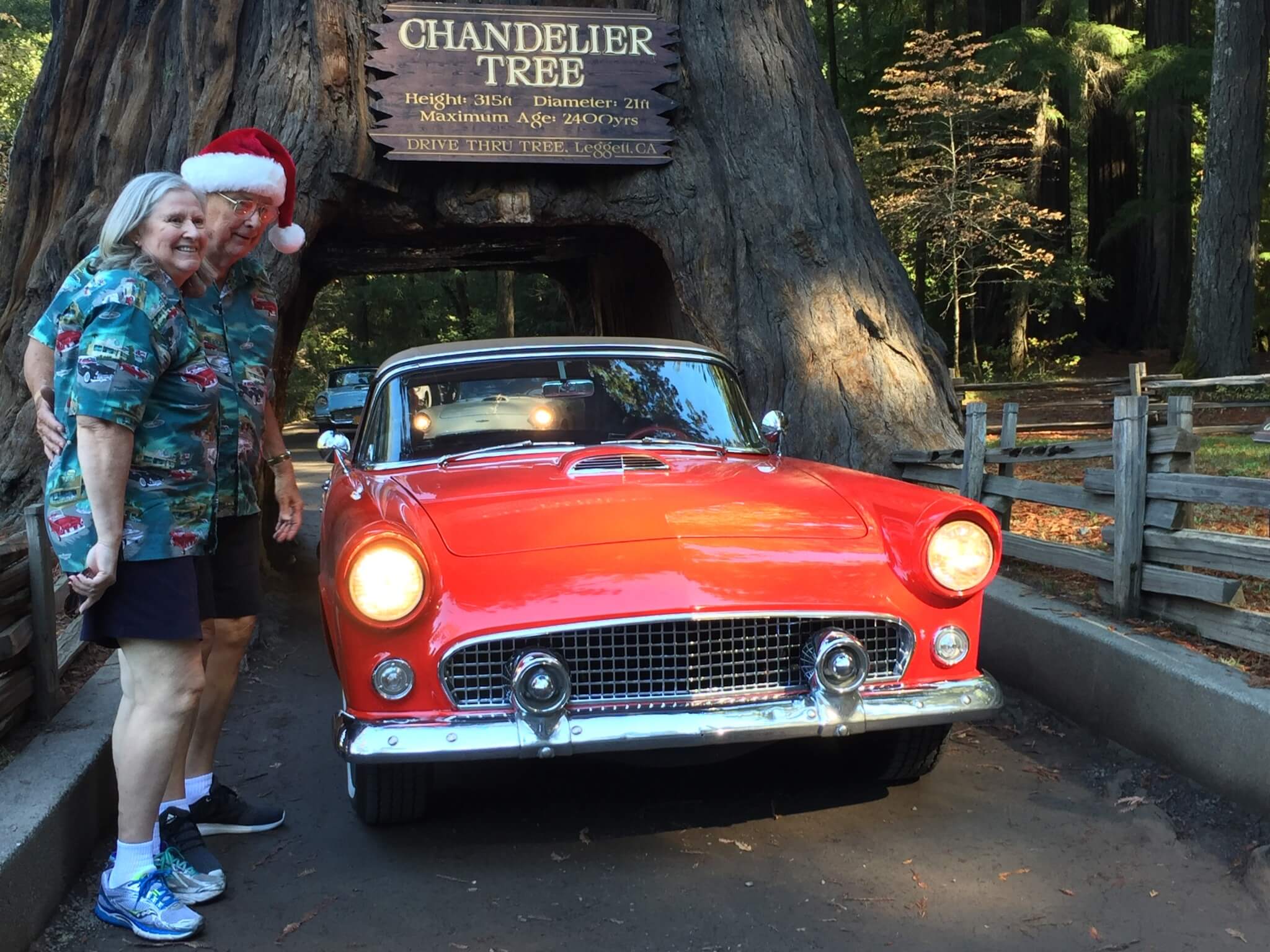 Årets julefoto er på plads for dette venlige Thunderbird-elskende par fra Los Angeles.