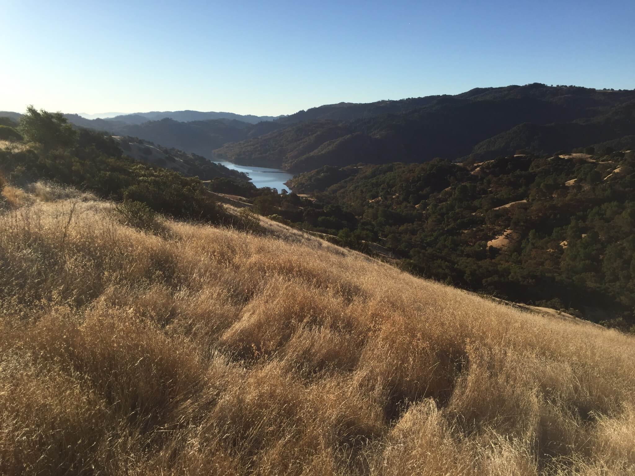 Morgenstund i Sonoma har guld i mund. Solskin og gyldne farver giver en glad start på dagen.