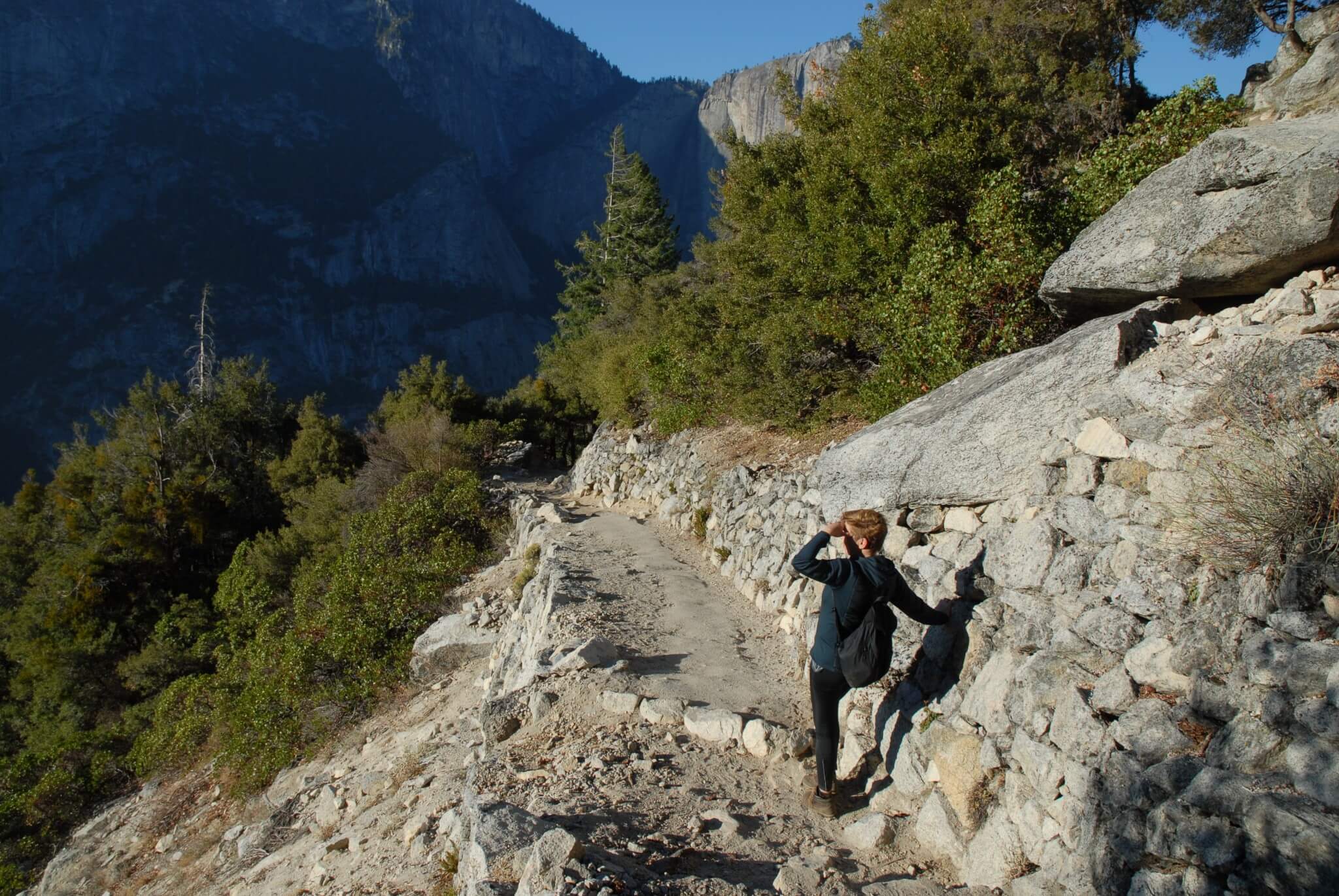 Stierne i Yosemite er gode og sikre, og det er nemt at finde vej.