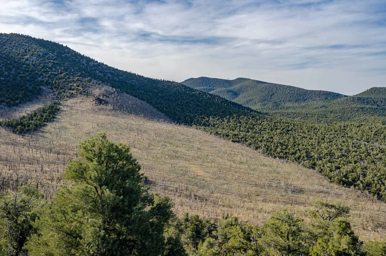 Berry Creek Dispersed Campground. Foto: Cruise America.